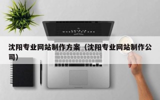 温县沈阳专业网站制作方案（沈阳专业网站制作公司）